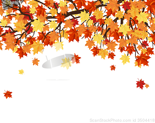 Image of Autumn Leaves  Frame