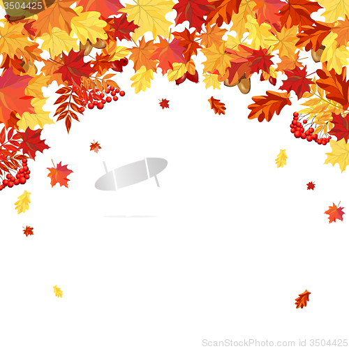Image of Autumn Leaves  Frame