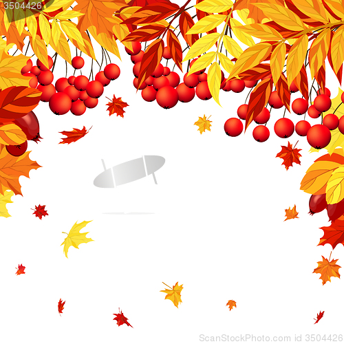 Image of Autumn Leaves  Frame