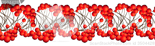 Image of Rowan Berries Seamless Border