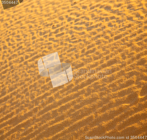 Image of africa the brown sand dune in   sahara morocco desert line