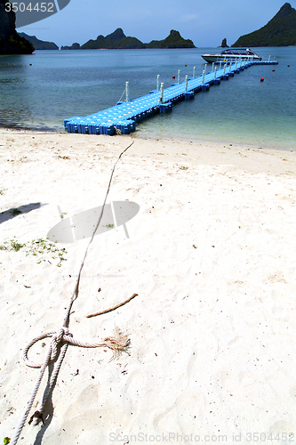 Image of plastic pier  coastline of a  green lagoon rope  phangan   bay  