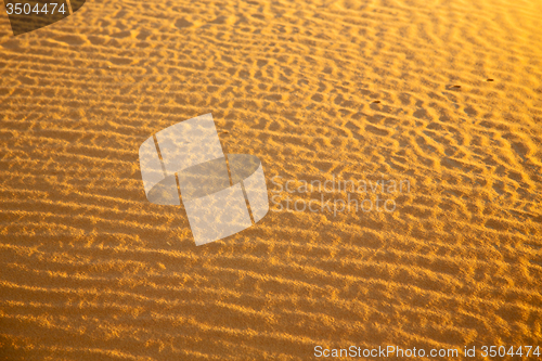 Image of africa the brown sand dune in     morocco desert line