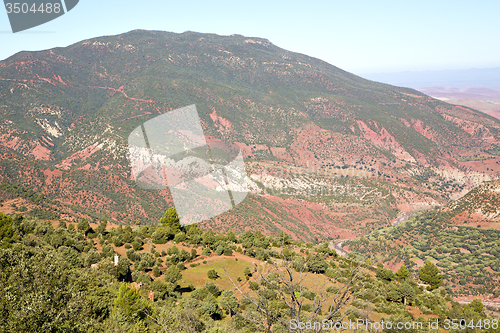 Image of the   red  in atlas moroco africa  