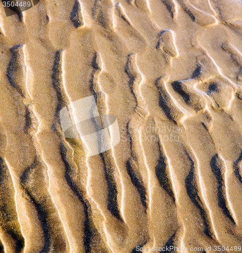 Image of dune morocco in africa brown coastline wet sand beach near atlan