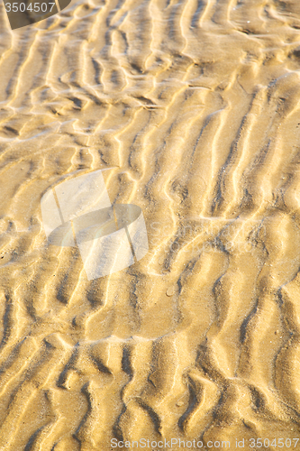 Image of dune morocco in   wet sand beach near atlantic ocean