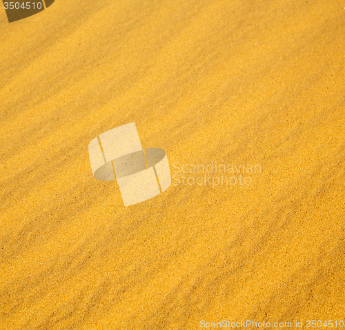Image of africa the brown sand dune in   sahara morocco desert line