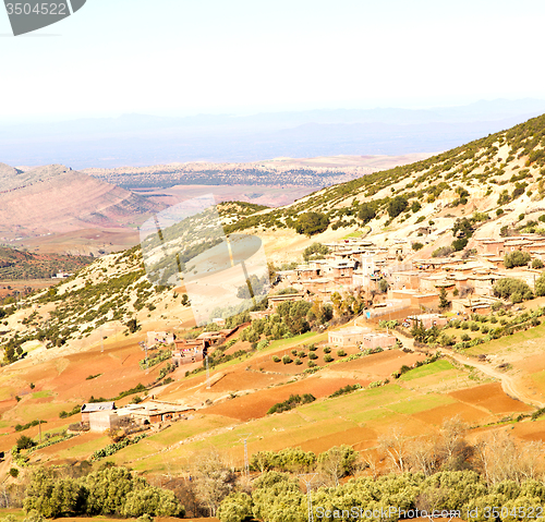 Image of dades valley in atlas moroco africa ground tree  and nobody