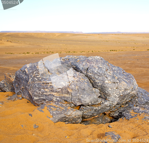 Image of  old fossil in  the desert of morocco sahara and rock  stone sky