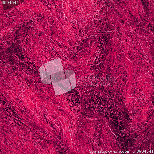 Image of Wild hair in a close-up