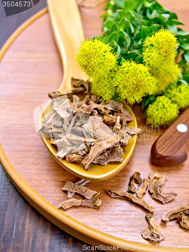 Image of Root dry of Rhodiola rosea with knife on board