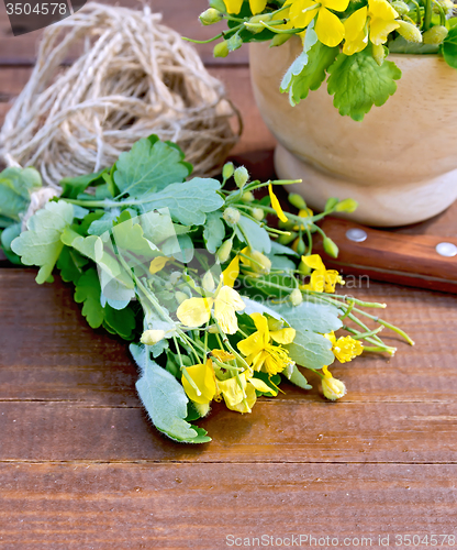 Image of Celandine on board with mortar