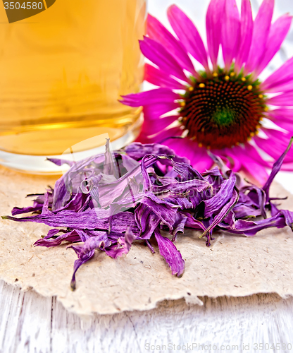 Image of Echinacea dried on paper with mug