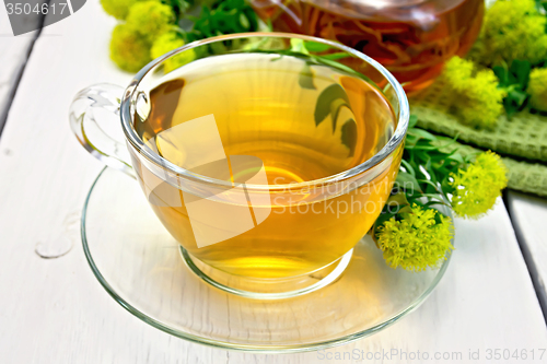 Image of Tea of Rhodiola rosea in cup on light board