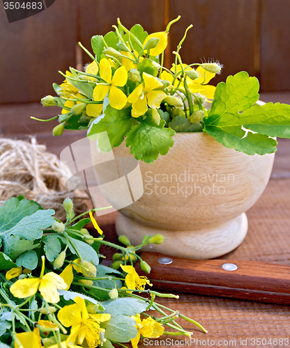 Image of Celandine in mortar on board