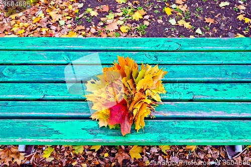 Image of Maple leaves on bench