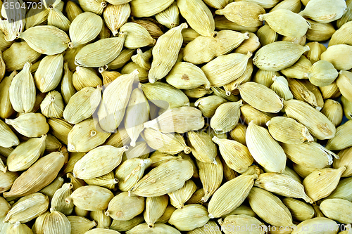 Image of Cardamom texture