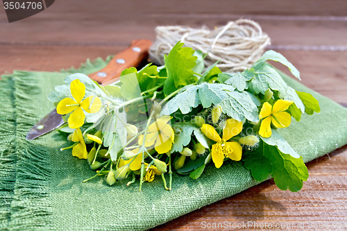 Image of Celandine with knife and twine on board