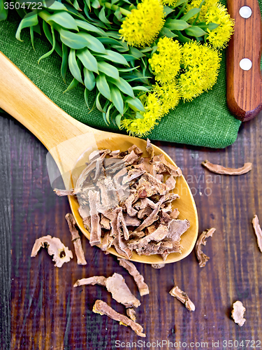 Image of Root dry of Rhodiola rosea in spoonful on board