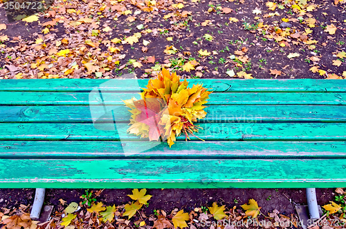 Image of Maple leaves on green bench