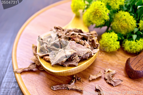 Image of Root dry of Rhodiola rosea in spoon on tray