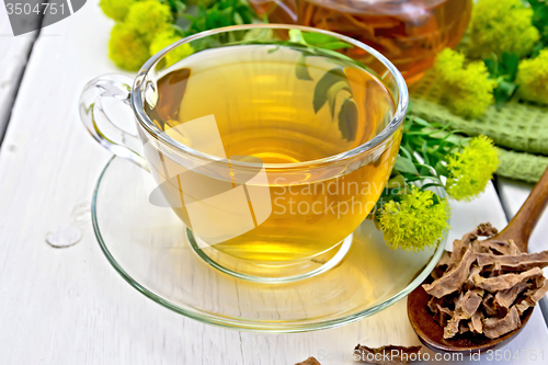 Image of Tea of Rhodiola rosea in cup with spoon on light board