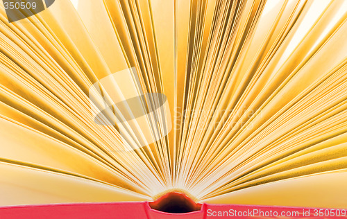 Image of Open book - nice background