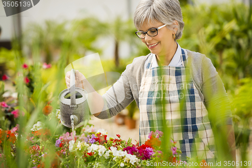 Image of Mature woman watering flowers