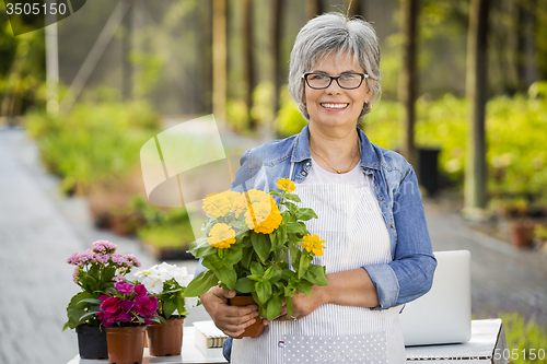 Image of Working in a flower shop