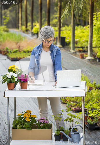 Image of Working in a flower shop