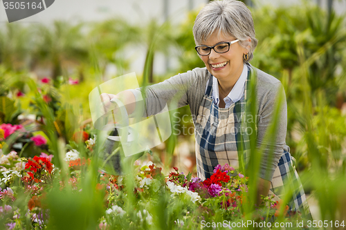 Image of Mature woman watering flowers