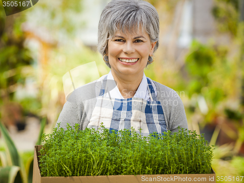 Image of Choosing fresh herbs