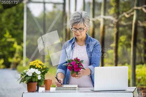 Image of Working in a flower shop