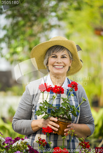 Image of A day in a green house