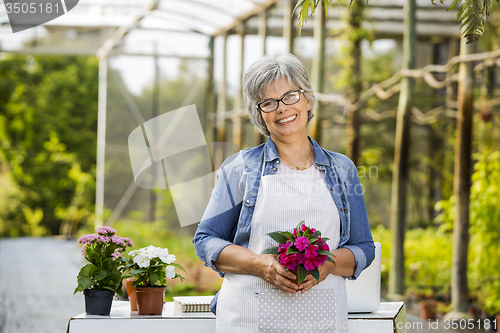 Image of Working in a green house