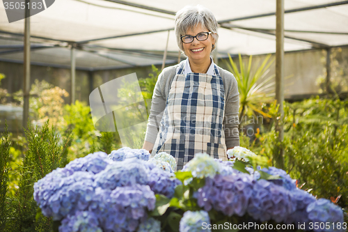 Image of A day in a green house