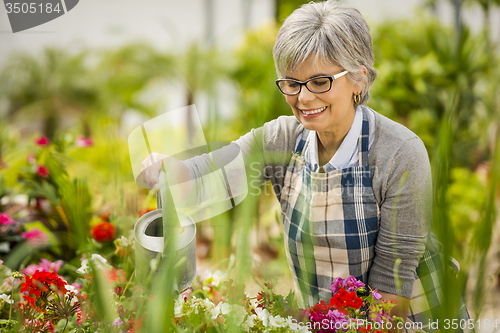 Image of Mature woman watering flowers