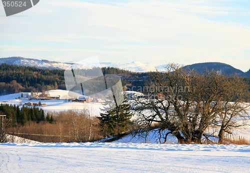 Image of Winter landscape