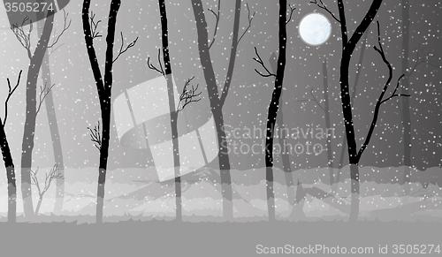 Image of forest in the dark mist, trees silhouettes