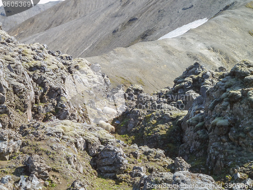 Image of rock formation in Iceland