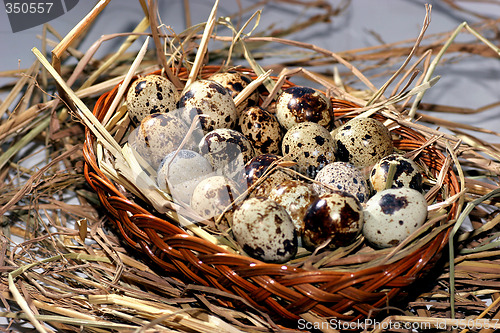 Image of eggs on a bed of straw