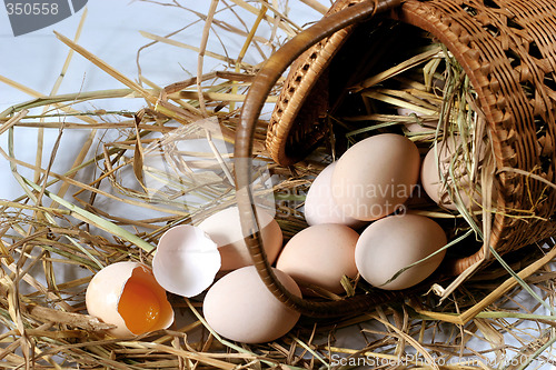 Image of eggs on a bed of straw