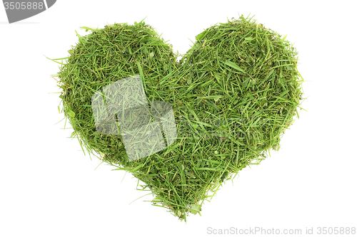 Image of Grass cuttings in a heart shape