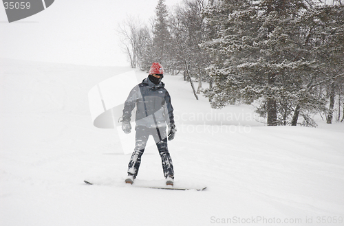 Image of Snowboarder