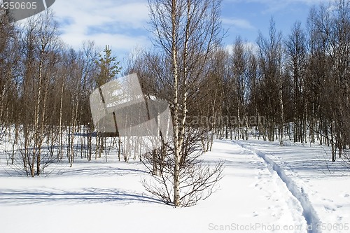 Image of Winter Forest Cabin