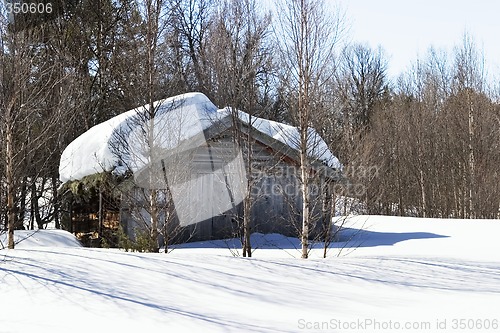 Image of Winter Forest Cabin