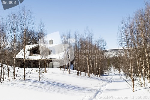 Image of Winter Forest Cabin