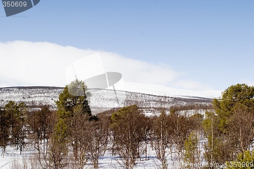 Image of Winter Mountain Landscape