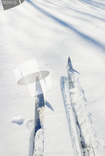 Image of Ski Detail