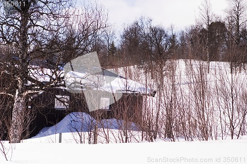 Image of Winter Cabin